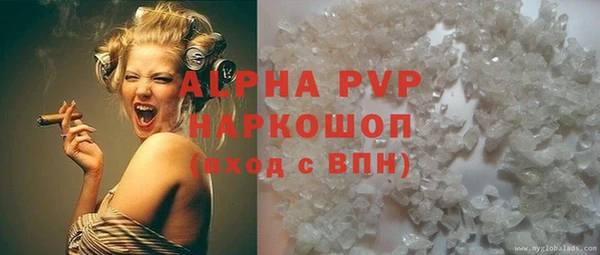 ECSTASY Ладушкин