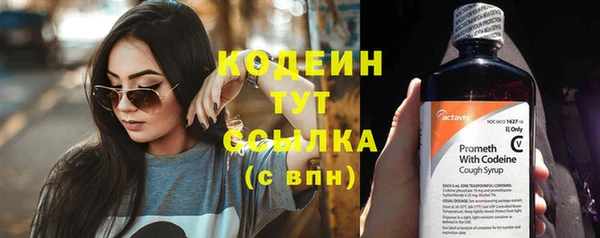 ешки Лагань