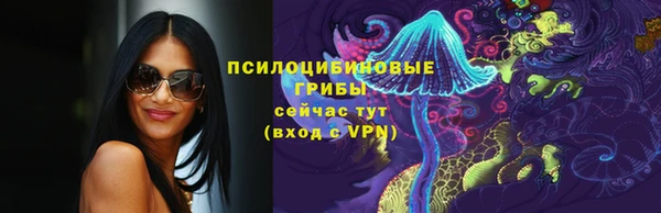 ешки Лагань