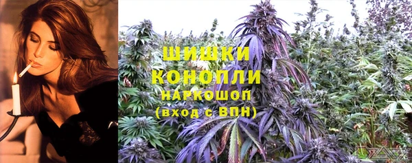 ECSTASY Ладушкин