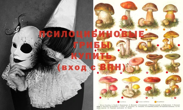 метамфетамин Лабытнанги