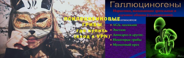ешки Лагань