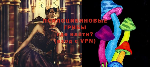 ECSTASY Ладушкин