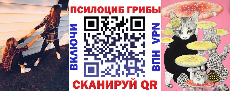 Псилоцибиновые грибы прущие грибы Купить Зуевка